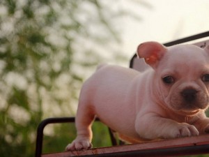 Стоимость Стоимость