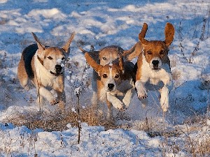 Несколько слов напоследок Несколько слов напоследок