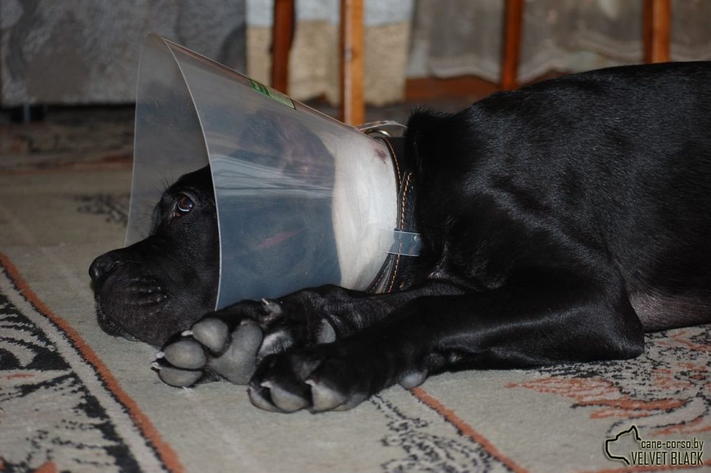 После операции