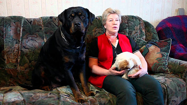 В первую очередь кормить ротвейлера рекомендуют исходя из особенностей породы В первую очередь кормить ротвейлера рекомендуют исходя из особенностей породы