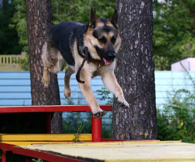 команда Барьер