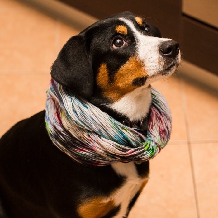 Продолжительность жизни Частые патологии