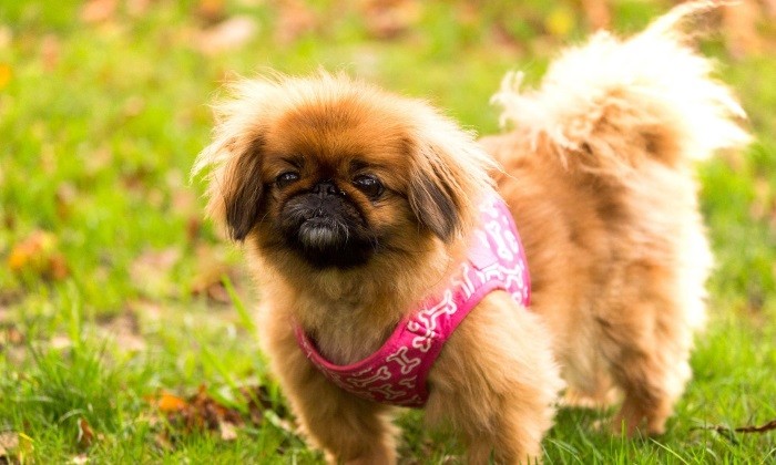 Болезни и их симптомы Заболевания