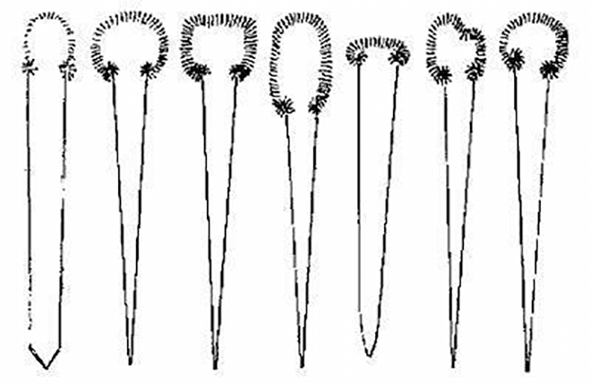 родезийский