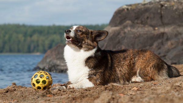 Кардиган с мячиком