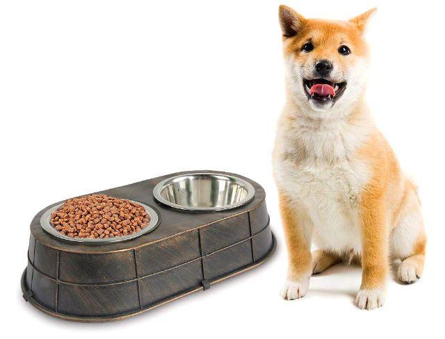 Чем кормить акита-ину – главное фото