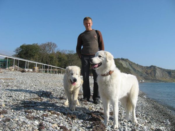 На прогулке