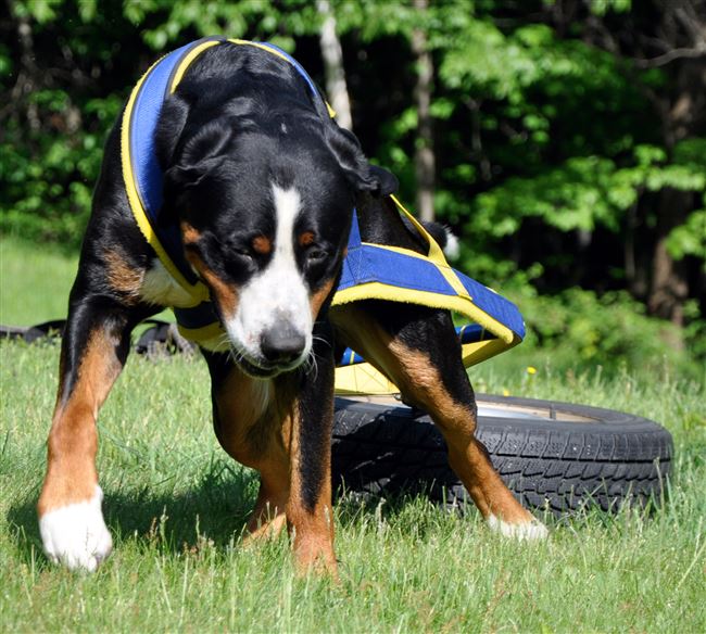 Правила питания и забота о здоровье