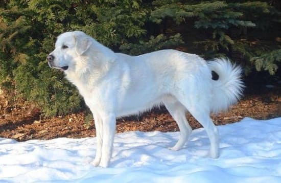 Акбаш Акбаш