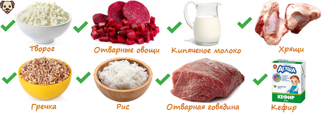 Чем кормить ротвейлера – правильный рацион, рекомендации