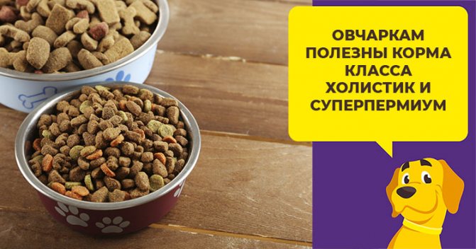 Как и чем кормить щенка восточно европейской овчарки