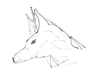 корги рисунки