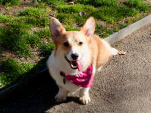 16425144869_cd13449128_o