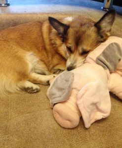 48404897_2219526721702916_1538719536130293760_n