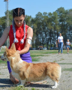 563319357_w640_h640_img20180806162759754jpg