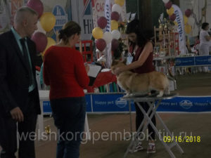 563319497_w640_h640_1000566jpg