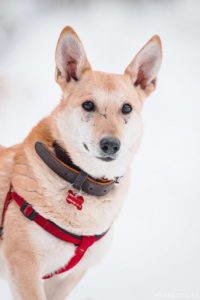 5c484231b261ff59b4664953