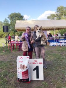 61010857_2460452160665877_5326246174208819200_n