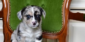 9b611c84c97caf07e1a9d05a385e90c0_l