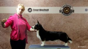 aethwy-fernando-009-58506740