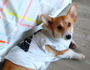 freeimage-85186077-web