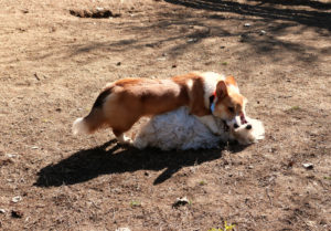 freeimage-85222798-web