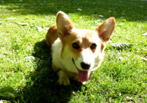 freeimage-85273596-web