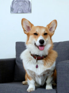 freeimage-88033865-web