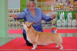 information_items_1193