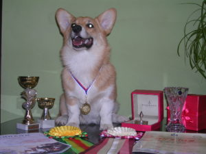 Люми-с-призами.-Курск-2009-2