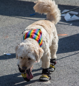 14369403206_f3712eb70c_b