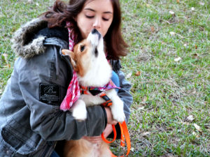 16077887046_7d09bd82ee_o