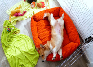 16355050524_791023c301_o