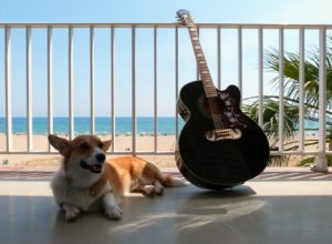 19836860551_5524c64d5d_o