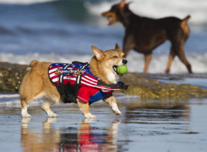 20781325974_fc084404d0_b