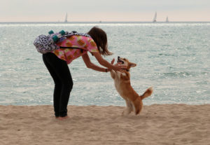 22476272321_afaf799217_o