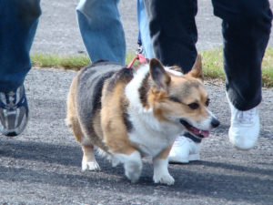 2861006743_cbc739fe58_z