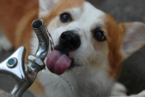 2998312823_4758923d95_b