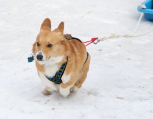 3251288816_8e7cc53441_b (1)