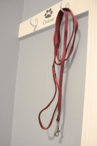 34517534622_380828868a_b