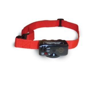 4215836683_ed7bd4b562