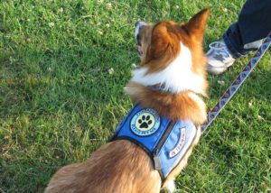 4805421534_ee01227bfe_b