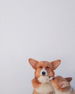 4bada4a9-4664-4873-8a8c-738f8da4d5f3