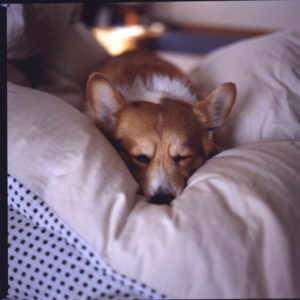 5448068972_4db8deb658_b