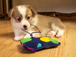 6364949191_0a148e1ac3_b