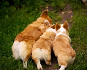 6365031503_4ff2c4cb28_b