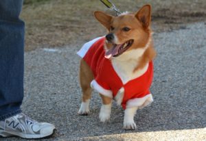 6455206319_c33cb0fc60_b