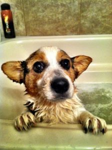 6912880287_ae0df9cfc9_b