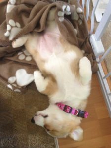 7022370431_16cc364b19_b