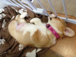 7022380511_d4e26a6b09_b